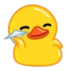 Duck 27