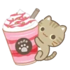 3 Cats🐱 Mov 20