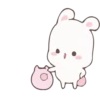Rabbit 30