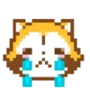 🦝Rascal Pixel 2 MOV.🧡 20