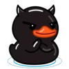 Black Duck 27