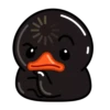 Black Duck 29