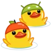 Duck 29