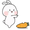 Rabbit 8 30