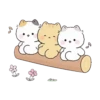 Gatitos Lindos (Poning) 😺4😺 5