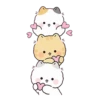 Gatitos Lindos (Poning) 😺4😺 6