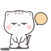 Cutie Cat-Chan 5