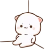Cutie cat 5