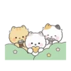 Gatitos Lindos (Poning) 😺4😺 7