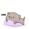 Mochi Cat 5