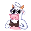 Cow 5