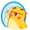 Yellow Boy 6