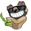 Fred the Pug 6