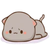 Gifs_Gallery PeachCat Pack 7