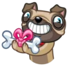 Fred the Pug 7