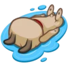 Fred the Pug 9