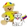 Osito Colombiano👣1🇨🇴Movi 6