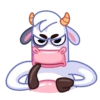 Cow 6