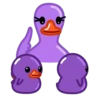 Purple Duck 6