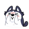 Siberian Husky 5
