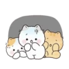 Gatitos Lindos (Poning) 😺4😺 13