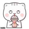 Cutie Cat-Chan 10