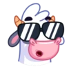 Cow 7