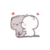 Cute Cats 6
