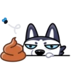 Siberian Husky 7
