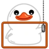 White Duck 5