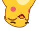 Yellow Boy 10