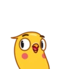 Yellow Boy 11
