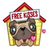 Fred the Pug 11