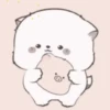 Gatito Blanco💞1🇵🇪Movi 14