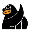 Black Duck 6