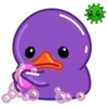 Purple Duck 9