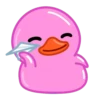 Pink Duck 6