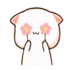 peach goma 10