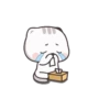 Cute Cats 9