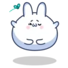 Chappy Bunny 🐰 12