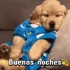 Mix💜✥22🇨🇴Movi 10
