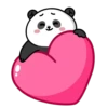 panda_anim 8