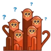 Movin’ Monkey 11