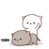 Mochi Cat 10