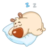 Chestnut the Bear 11