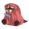 Proha Raccoon 10
