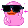Pink Duck 8