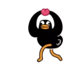 Black Duck 7