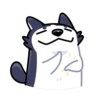Siberian Husky 10