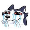 Siberian Husky 11
